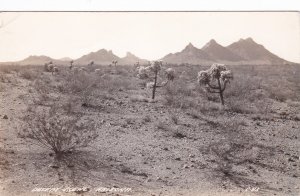 Arizona Desert Scene Real Photo