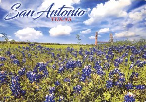 US10 USA TX San Antonio Texas 2020