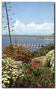 Postcard Modern Cote D & # 39Azur Flower garden Echappee sea in the backgroun...