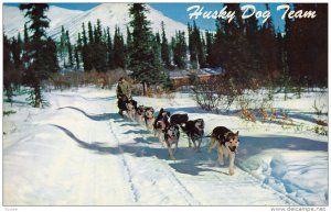 Alaska Husky Dog Team, ANCHORAGE, Alaska, 40-60´