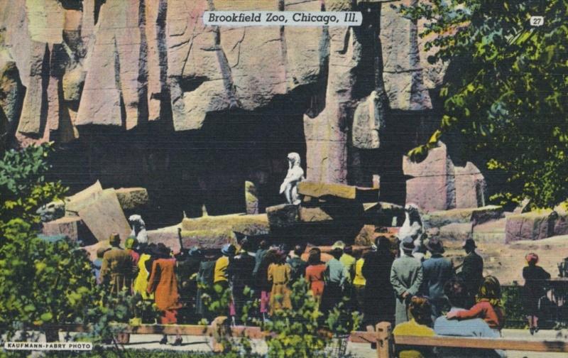 Brookfield Zoo Chicago Illinois IL Barless Zoo Unused Vintage Linen Postcard D25