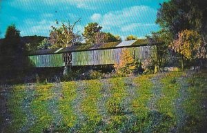 Covered Bridge Old Shotts Bridge Vermont