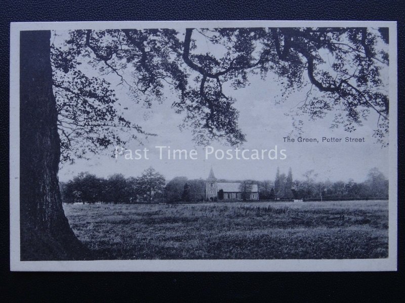 Essex Harlow POTTER STREET The Green & St Mary Magdalene Church - Old Postcard