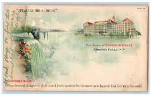 1907 The Home Of Shredded Wheat Niagara Falls New York NY Waterfalls Postcard