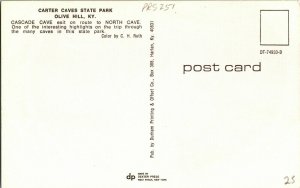 Carter Caves State Park Olive Hill Kentucky KY Cascade Cave CH Ruth Postcard Vtg 