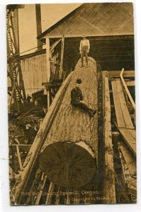 Log Entering Sawmill Logging Oregon 1914 postcard
