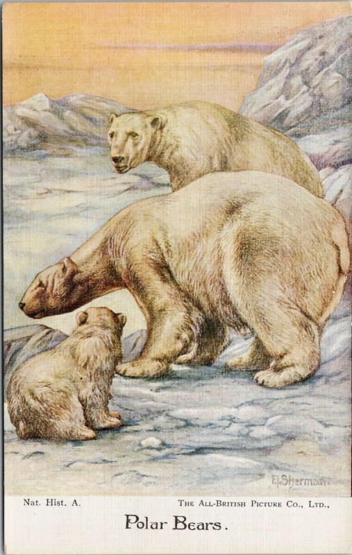 Polar Bears Cub All British Picture Co. Unused E. Sherman Postcard F54