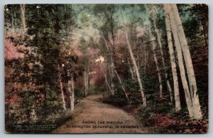 Hand Colored   Bennington  Vermont    Postcard