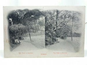 Girl in The Park With Dog Wisbech Antique Postcard 1903 Summer Winter Scenes