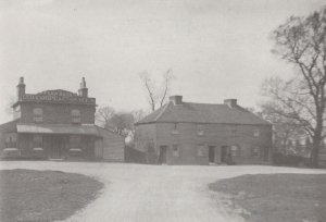 The Haw Bush Little Chadwell Heath 1900 Essex Postcard