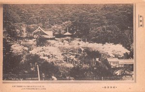 Birds eye view Japan Unused 