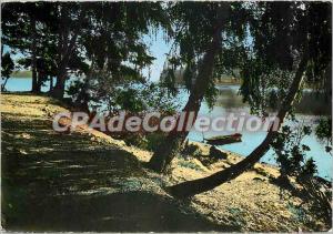 Modern Postcard Morvan Tourist shady banks of Lake Settons (Nievre)