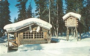 Trapper's Cabin and Food Cache Snow Shoes Moose Antlers, Alaska Postcard