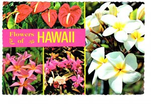 Flowers of Hawaii, Used 1981