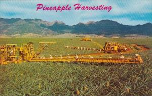 Hawaii Honolulu Pineapple Harvesting