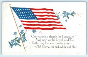 PATRIOTIC FLAG Embossed Our Country Stands For Humanity 1919 WWI Era Postcard