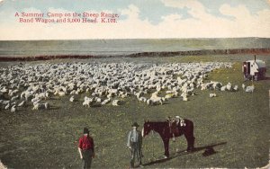 Sheep Flock Herd Summer Camp Range Band Wagon1910c postcard