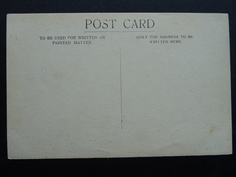 Devon Torquay CAWDLE'S COACHING EXCURSION Coach & Four Horse's c1909 RP Postcard