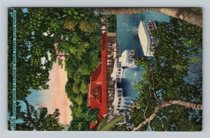 Silver Springs FL-Florida, Boats Leaving Docks, Linen Postcard 