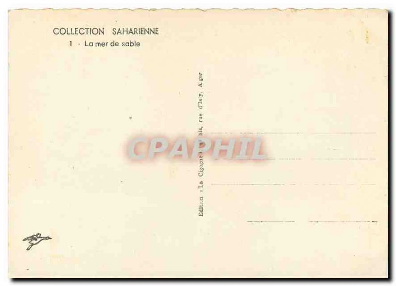 Modern Postcard Collection The Saharan sand sea Camels