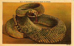 Southwest Rattlesnake 