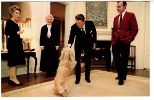 President, Mrs. Reagan, Vice President, Mrs. Bush with Family Dog Fred