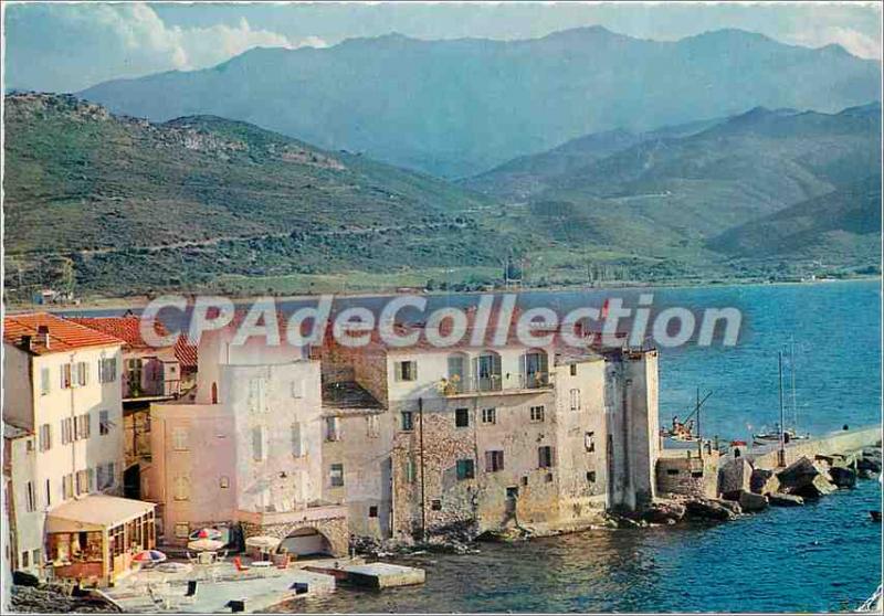 Postcard Modern Saint Florent Old Navy aspect of the Hotel les Lauriers Roses