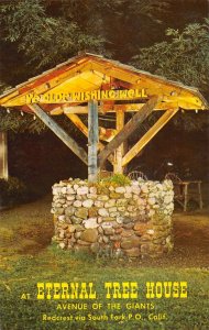 Redcrest California old wishing well at Eternal Tree House vintage pc ZA441428 