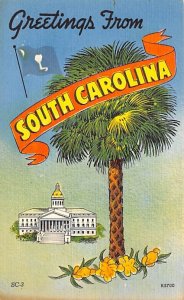 Greetings from South Carolina Palm tree Greetings from, South Carolina  