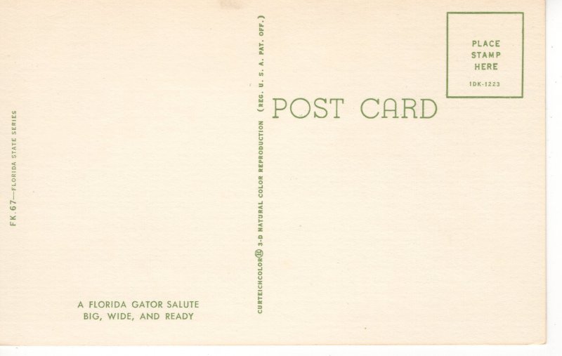 PC6057 A FLORIDA GATOR SALUTE