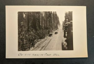Vintage Bear Cubs on the Road to Cody Wyoming RPPC