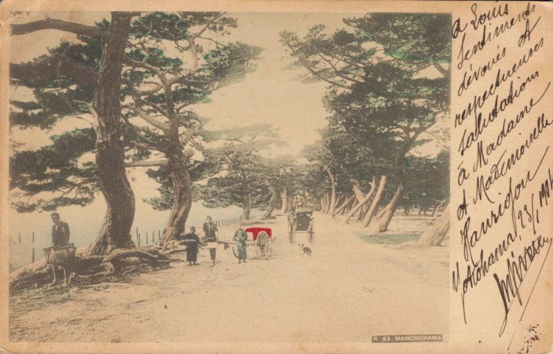 Japan - Maikonohama Hand Colored Postcard 03.77