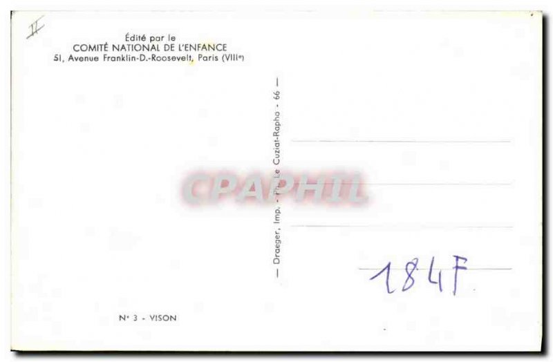 Modern Postcard Mink