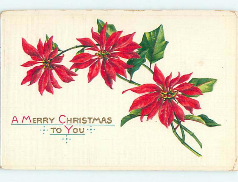 Divided-Back christmas THREE POINSETTIA FLOWERS o3898