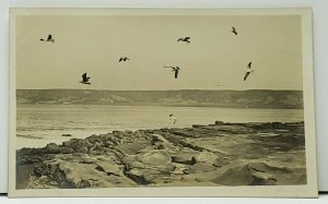 RPPC Seascape Flying Seagulls Boats Building c1910 Real Photo Postcard G15