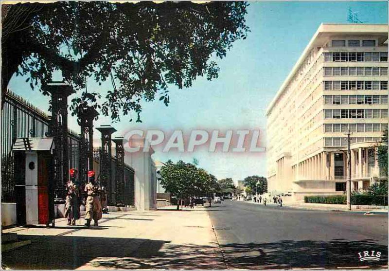 CPM Senegal Dakar Le building du Gouvernement General et l'Avenue Roume