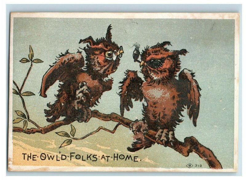 1880's Owl Owls F.C. Lord Castilian Cream Paint Remover Set Of 3 Trade Cards P96