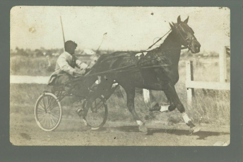 RP c1910 HARNESS RACING Horse Race Sulky Sulkies TROTTING Trotter Trottlers 