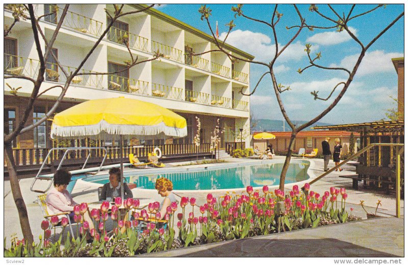 Swimming Pool,  Sheraton-Villa Inn,  Burnaby,  B.C.,  Canada,  40-60s