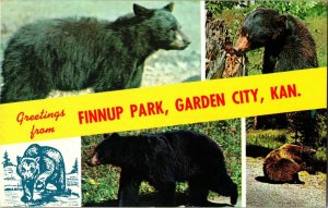 Multi View Bears in Finnup Park Garden City KS Vintage Postcard C23