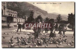 Old Postcard Monte Carlo Pigeons