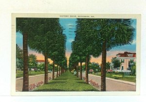 Savannah Georgia GA Victory Drive Vintage Postcard 