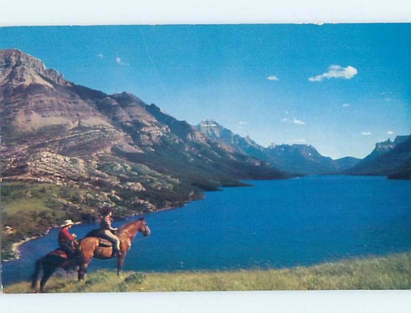 Pre-1980 HORSES AT THE LAKE Waterton Lakes - Near Lethbridge Alberta AB F3205