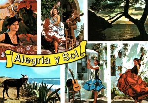 VINTAGE CONTINENTAL SIZE POSTCARD MULTIPLE IMAGES OF SPAIN ALEGRIA Y SOL