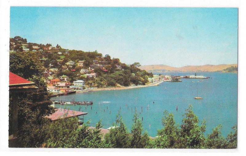 Marin County CA Hill View of Sausalito San Francisco Bay Vntg Gray Line Postcard