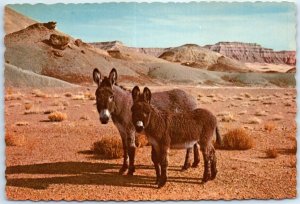 Postcard - Faithful Burros Of The Gold Mining Days - the Southwest
