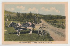 P2617 vintage postcard un attelage de boeuf ox cart quebec canada