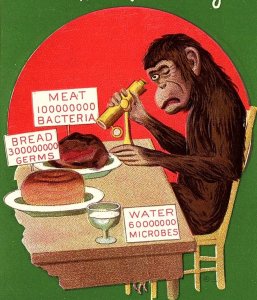 1910 DON'T MONKEY WITH PURE FOOD THEORY ANTHROPOMORPHIC COMEDIC POSTCARD 46-229