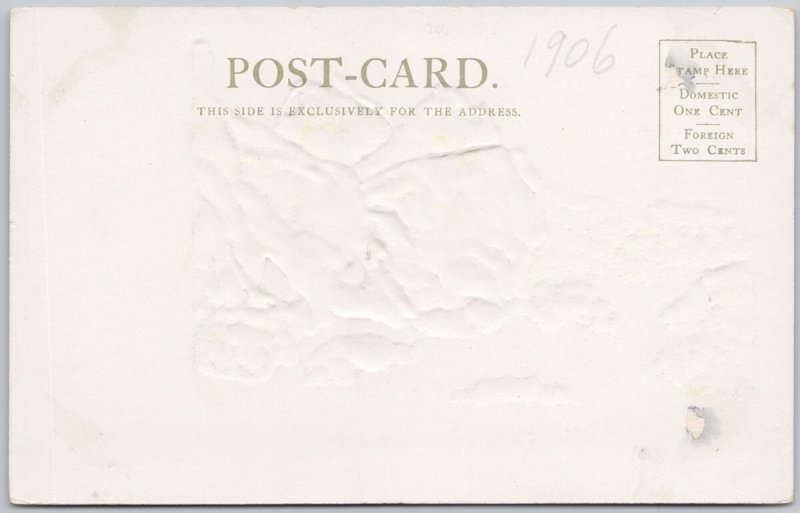 Bear and Seal Garden of the Gods CO Vintage Embossed Lithograph Postcard H79