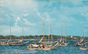 Bahama Nassau Fishing Smacks In Nassau Harbor